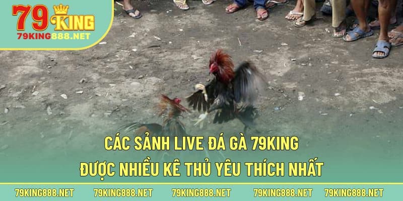 Các sảnh live đá gà 79king được nhiều kê thủ yêu thích nhất