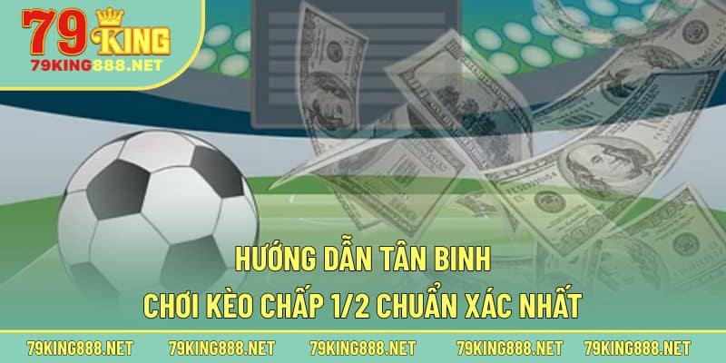 Hướng dẫn tân binh chơi kèo chấp 1/2 chuẩn xác nhất