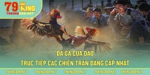 Tìm hiểu sơ lược về hoạt động giải trí đá gà cựa dao