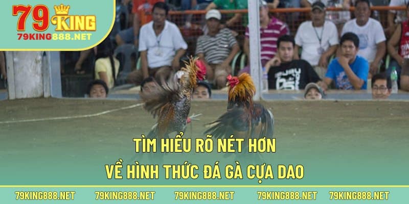 Tìm hiểu rõ nét hơn về hình thức đá gà cựa dao