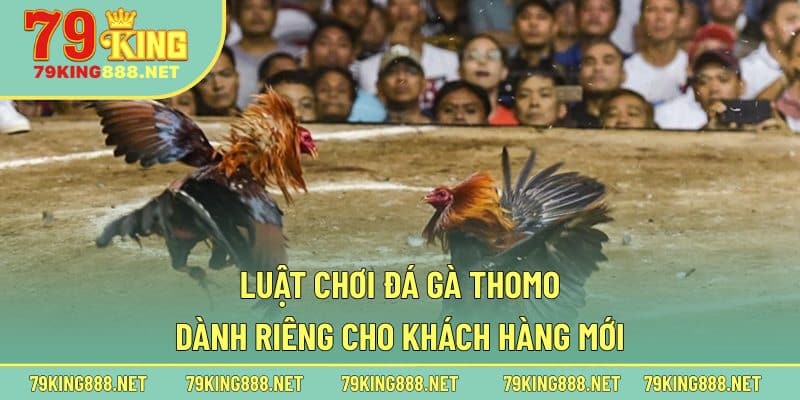 Luật chơi đá gà Thomo dành riêng cho khách hàng mới