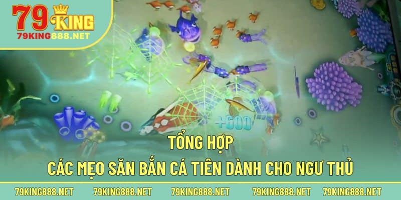 Tổng hợp các mẹo săn bắn cá Tiên dành cho ngư thủ