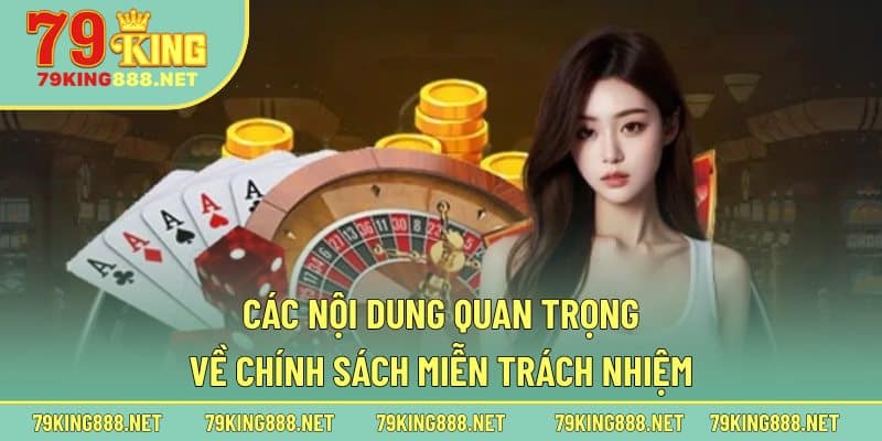 Các nội dung quan trọng về chính sách miễn trách nhiệm