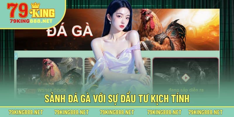 Sảnh đá gà với sự đầu tư kịch tính