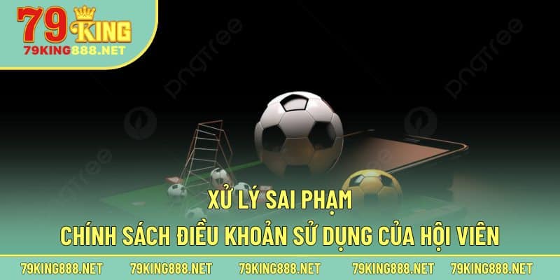 Xử lý sai phạm chính sách điều khoản sử dụng của hội viên